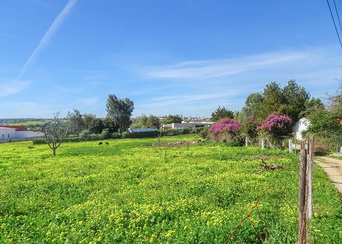 Hébergement de vacances Fazenda De Quinta De *
