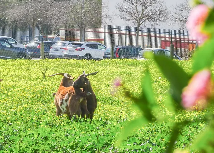 Hébergement de vacances Fazenda De Quinta De *
