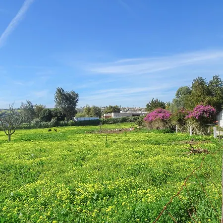 Vakantiehuis Fazenda De Quinta De *