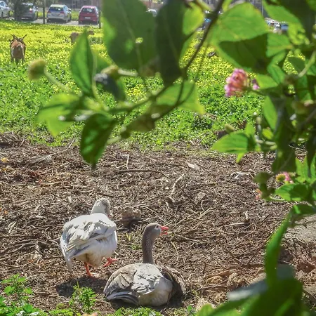 Prázdninový dům Fazenda De Quinta De