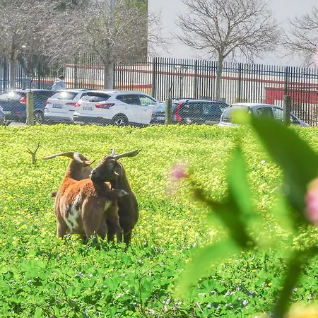 Vakantiehuis Fazenda De Quinta De *