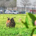 Сasa de vacaciones Fazenda De Quinta De *