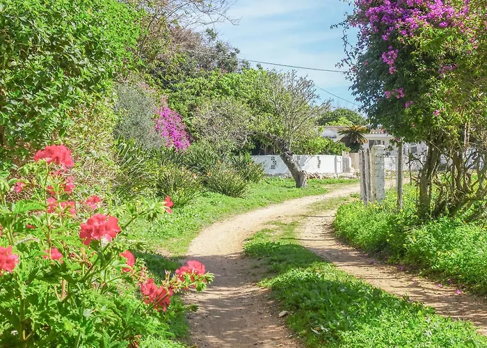 Дом отдыха Fazenda De Quinta De Лагуш